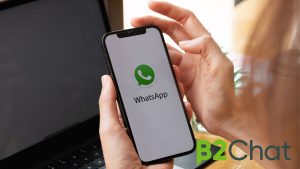 Client Support WhatsApp_B2Chat_Europe